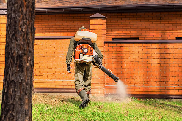 Trusted Termite Control service in Gouldtown, NJ - Nex Pest Control